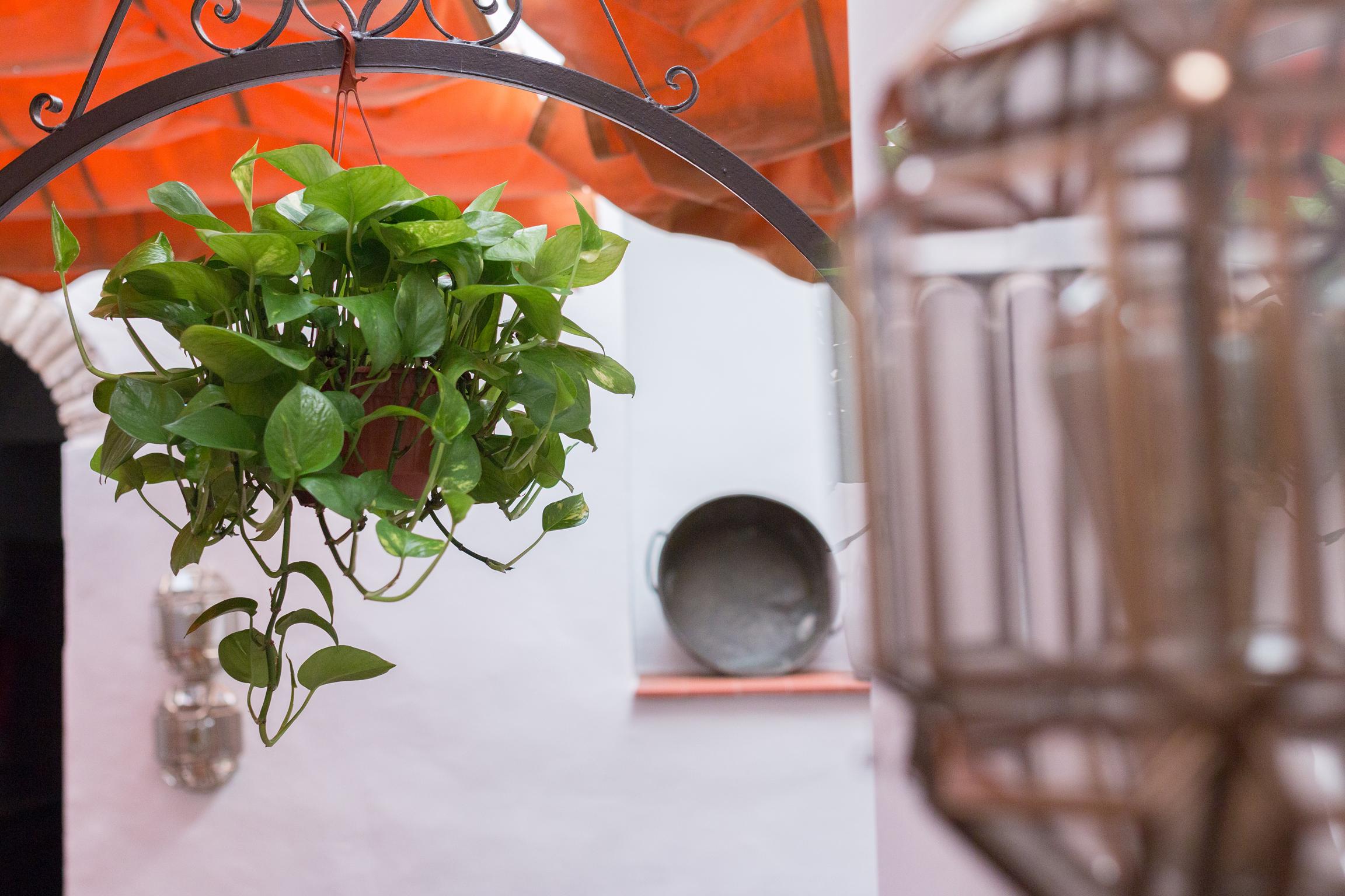 Los Patios Кордоба Екстериор снимка