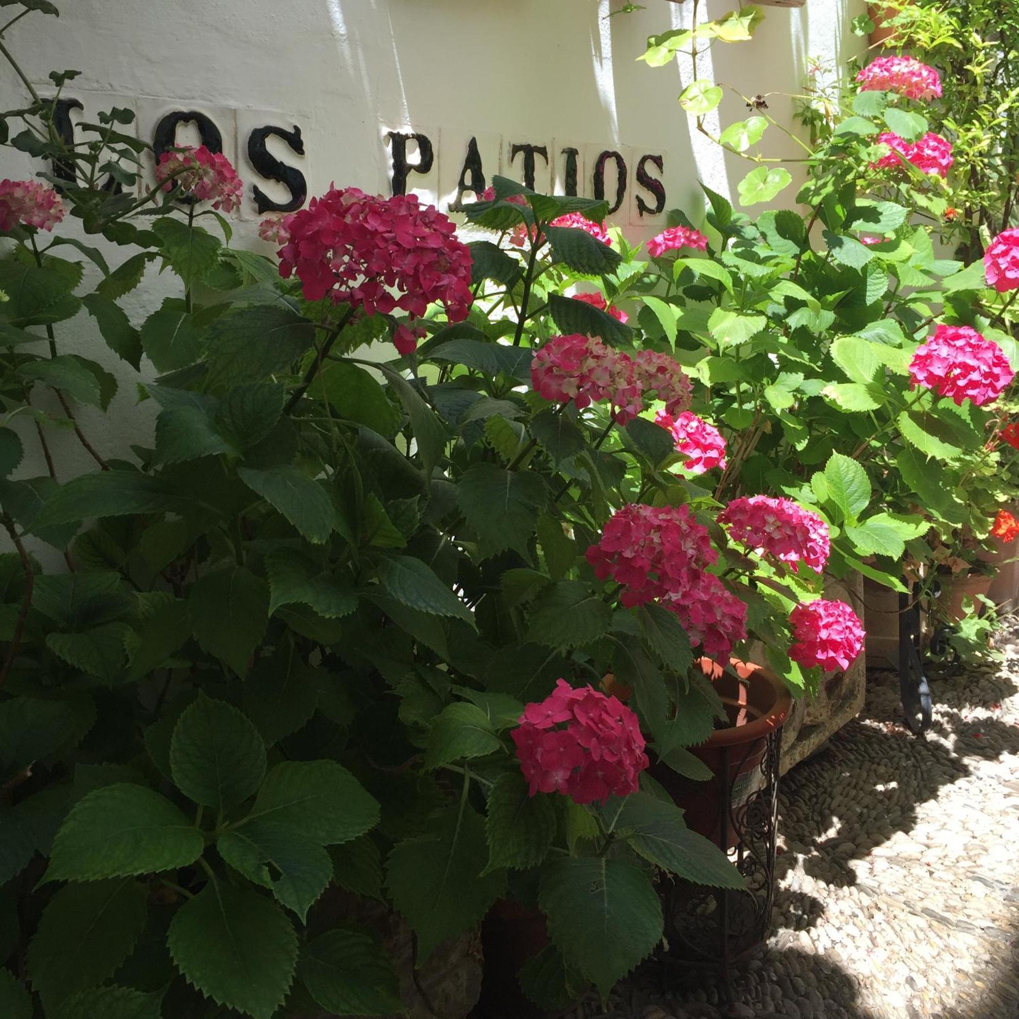 Los Patios Кордоба Екстериор снимка