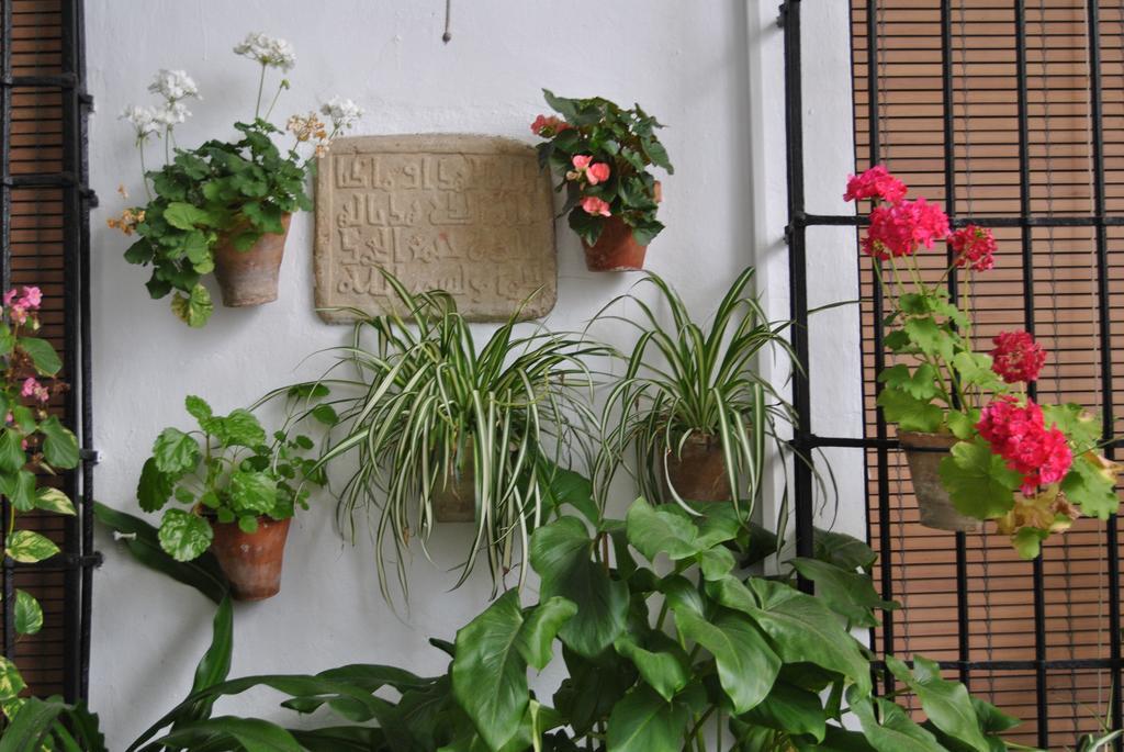 Los Patios Кордоба Екстериор снимка