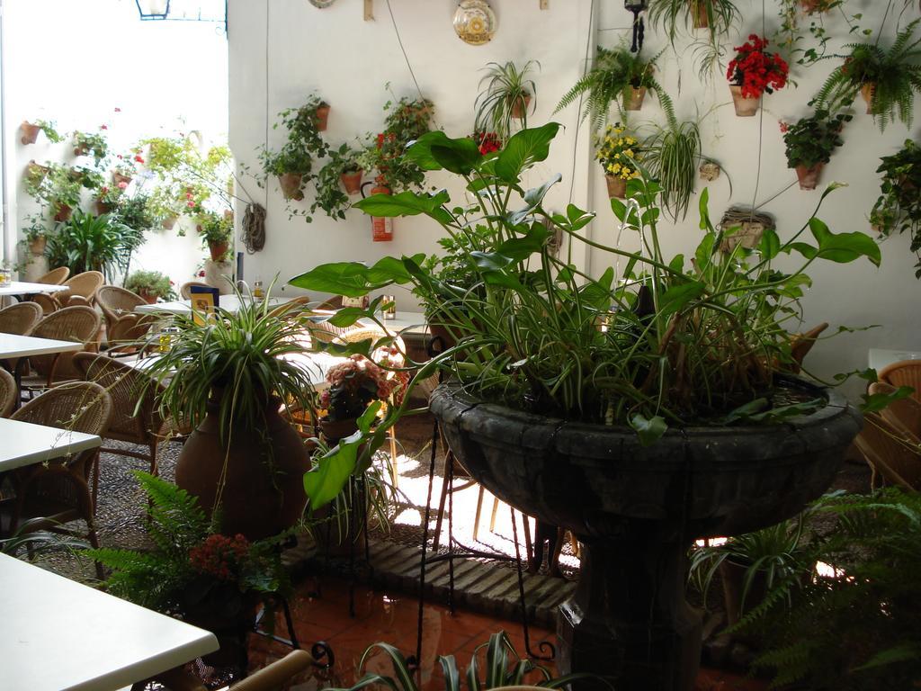Los Patios Кордоба Екстериор снимка